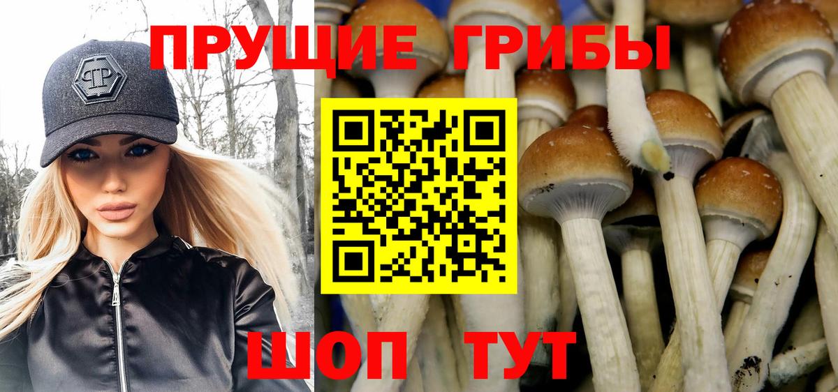 Псилоцибиновые грибы мухоморы  Вход с VPN  Галлюциногенные грибы мухоморы  Наро-Фоминск 