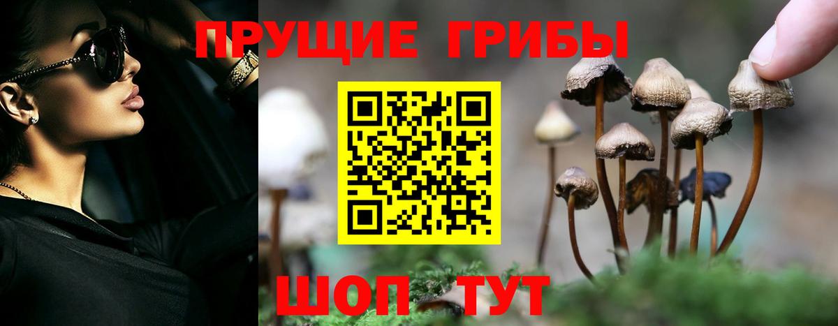 Псилоцибиновые грибы Cubensis Наро-Фоминск